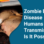 Zombie Deer Disease Humans Transmission Is It Possible