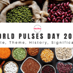World Pulses Day 2024