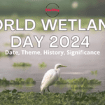 World Wetlands Day 2024