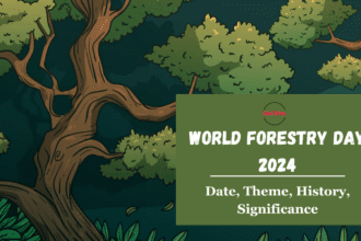 World Forestry Day 2024