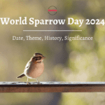 World Sparrow Day 2024