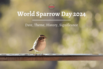 World Sparrow Day 2024