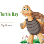 World Turtle Day 2024