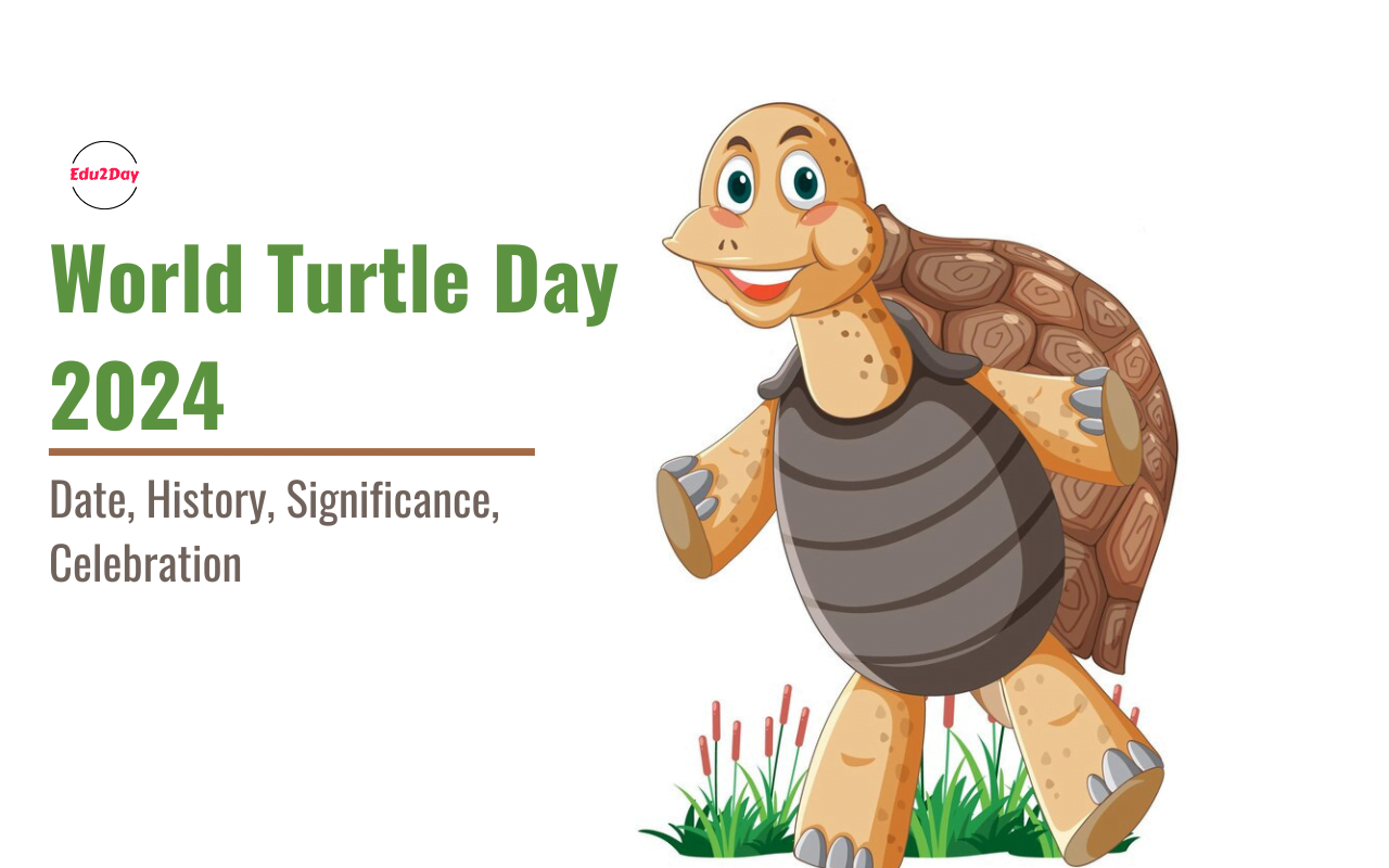 World Turtle Day 2024, Date, Theme, History, And Significance