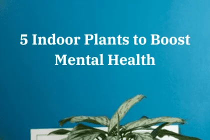 5 Indoor Plants to Boost Mental Health