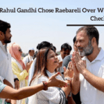 Rahul Gandhi Chose Raebareli Over Wayanad